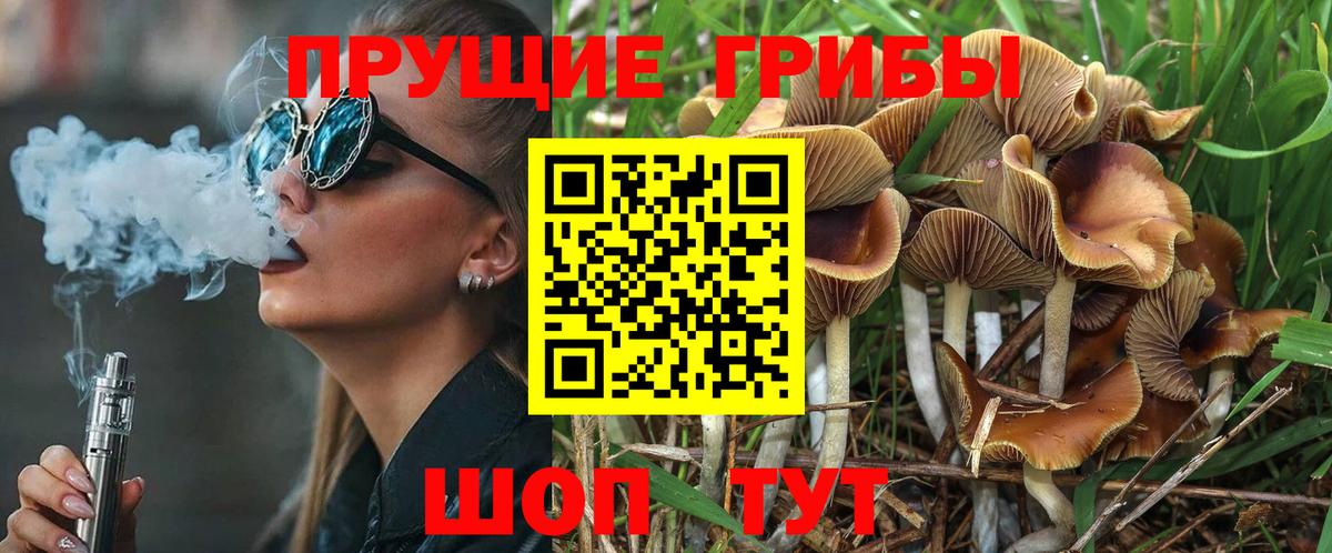 Галлюциногенные грибы MAGIC MUSHROOMS  Вход с VPN  Грозный 